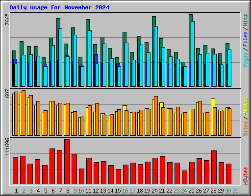 Daily usage for November 2024
