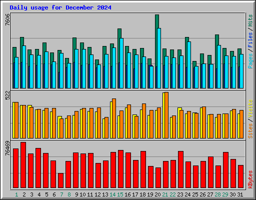 Daily usage for December 2024
