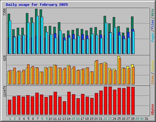 Daily usage for February 2025