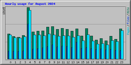 Hourly usage for August 2024