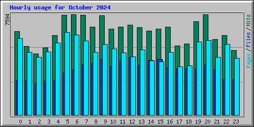 Hourly usage for October 2024