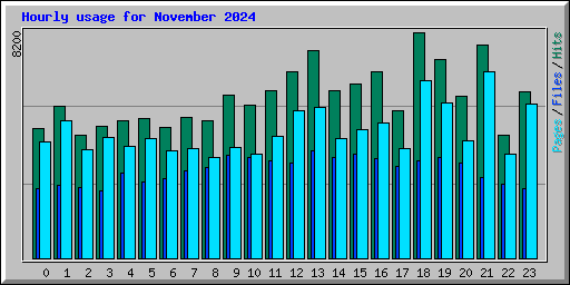 Hourly usage for November 2024