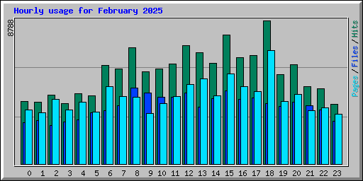 Hourly usage for February 2025