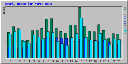 Hourly usage for March 2025