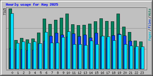 Hourly usage for May 2025