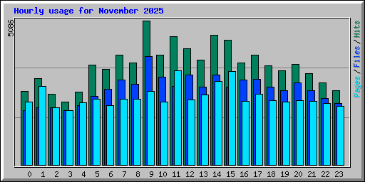 Hourly usage for November 2025