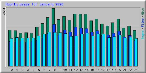Hourly usage for January 2026